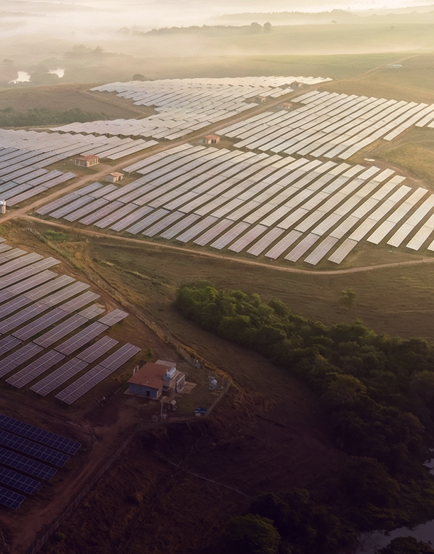 <strong>Investimento</strong>